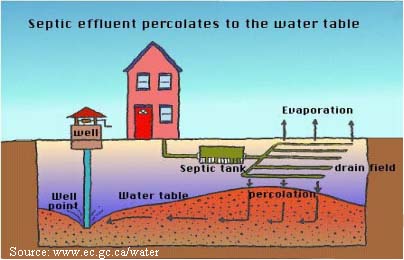 Does every house have a septic tank